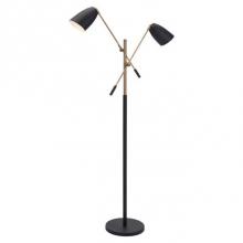 Zuo 56079 - Tanner Floor Lamp Matte Black and Brass