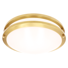 Luxrite LR23295 - LED10"FLUSH/DR/BRS/5CCT/D