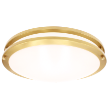 Luxrite LR23298 - LED16"FLUSH/DR/BRS/5CCT/D