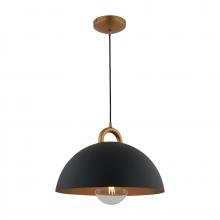 Artcraft AC12001BB - Pantheon-1-Light Pendant-19.5"-Black/Rust Brass