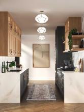 PROG_Latham_Kitchen_Moderen_transitional_P350261-009_3D_appshot.jpg