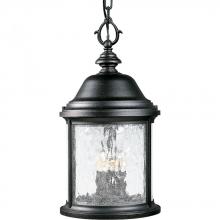 Progress P5550-31 - Ashmore Collection Three-Light Hanging Lantern