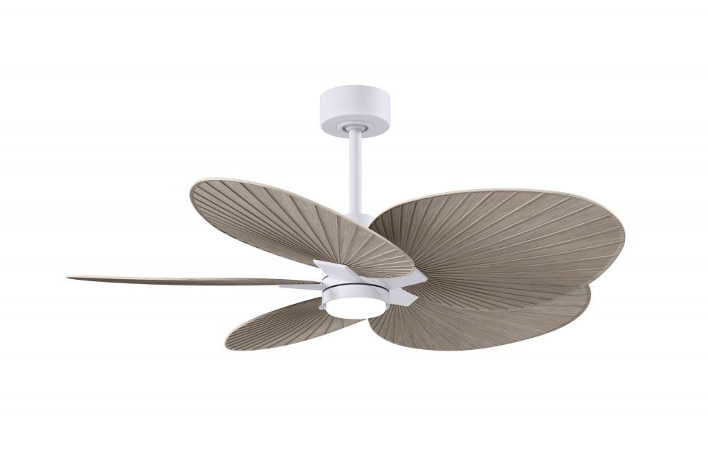 Alessandra Tropical 5-blade ceiling fan in Matte White and Gray Ash Tone blades.