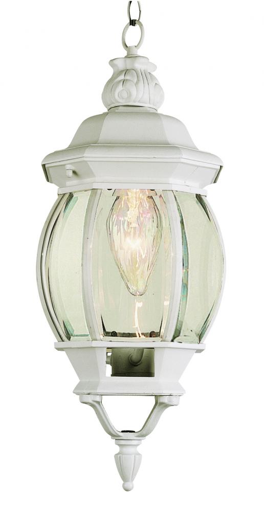 Parsons 1-Light Traditional French-inspired Outdoor Hanging Lantern Pendant with Chain