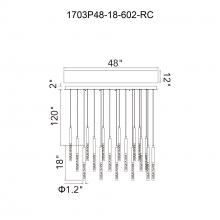 CWI-1703P48-18-602-RC-31.jpg