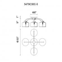 CWI-5479C30C-5-31.jpg