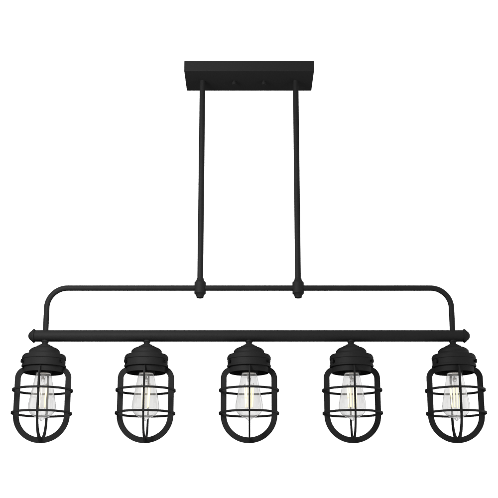 Hunter Starklake Natural Black Iron 5 Light Chandelier Ceiling Light Fixture