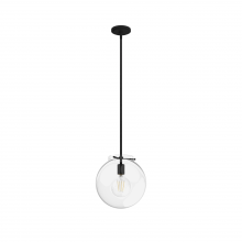 Hunter 19660 - Hunter Sacha Natural Black Iron with Clear Glass 1 Light Pendant Ceiling Light Fixture