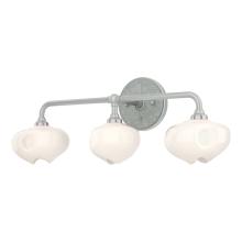 Hubbardton Forge 201342-SKT-82-82-FD0710 - Ume 3-Light Curved Arm Bath Sconce