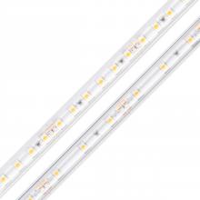 Diode Led DI-24V-BLBSC2-50-W100 - STRIP/TAPE LIGHT