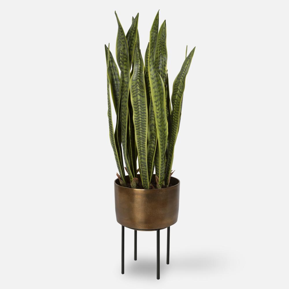 Fasita Brass Planter 2 Cartons