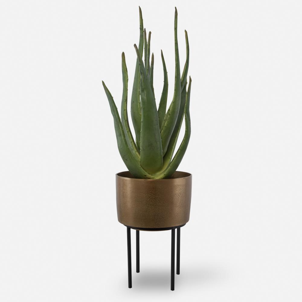 Arabia Aloe Planter