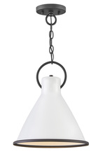 Hinkley 3557PT - Medium Pendant