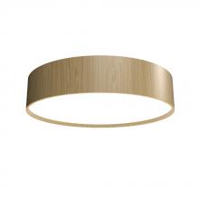 Accord Lighting 5012LED.45 - Cylindrical Accord Ceiling Mounted 5012 LED